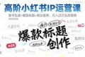 （16442期）高阶小红书IP运营课：账号包装+爆款标题+商业接单，月入过万实战指南