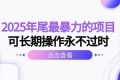 （16316期）2025年尾最暴力的项目可长期操作永不过时