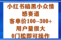 小红书暗黑小众情感赛道，客单价100-300+用户量很大，0门槛即可操作