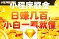 微信小程序掘金项目，日入几张，项目简单，小白一看就懂，5分钟就能学会上手操作【揭秘】